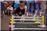 LCFAIR15-6602.jpg