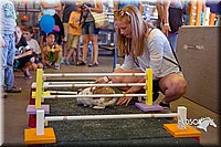LCFAIR15-6605.jpg