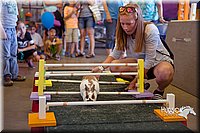 LCFAIR15-6606.jpg