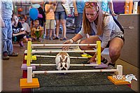 LCFAIR15-6607.jpg