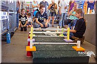 LCFAIR15-6609.jpg