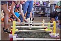 LCFAIR15-6613.jpg