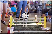 LCFAIR15-6614.jpg