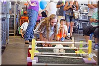 LCFAIR15-6615.jpg