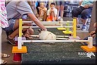 LCFAIR15-6619.jpg