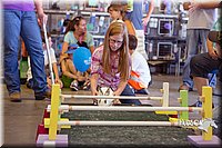 LCFAIR15-6623.jpg