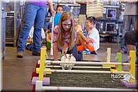 LCFAIR15-6625.jpg