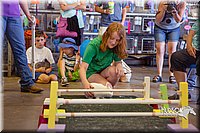 LCFAIR15-6637.jpg