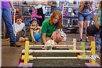 LCFAIR15-6638.jpg