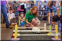 LCFAIR15-6639.jpg