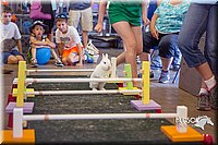 LCFAIR15-6640.jpg