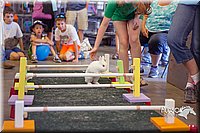 LCFAIR15-6641.jpg