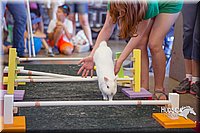 LCFAIR15-6643.jpg