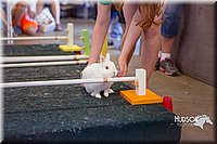LCFAIR15-6644.jpg