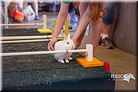 LCFAIR15-6645.jpg