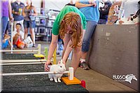 LCFAIR15-6646.jpg