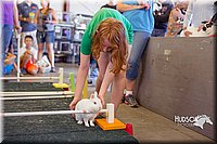 LCFAIR15-6647.jpg