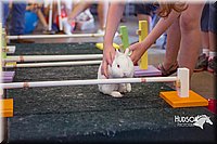 LCFAIR15-6648.jpg