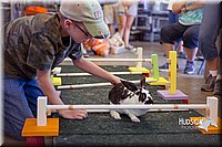 LCFAIR15-6650.jpg