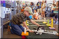 LCFAIR15-6651.jpg