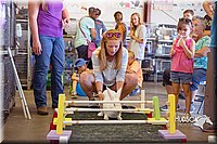 LCFAIR15-6653.jpg