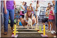 LCFAIR15-6654.jpg