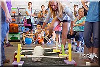 LCFAIR15-6656.jpg