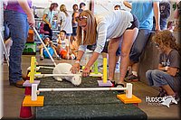 LCFAIR15-6659.jpg