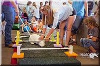 LCFAIR15-6660.jpg