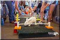 LCFAIR15-6661.jpg