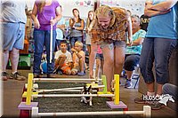 LCFAIR15-6663.jpg
