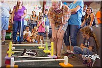 LCFAIR15-6664.jpg