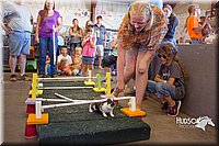 LCFAIR15-6665.jpg