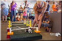 LCFAIR15-6666.jpg