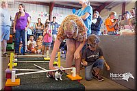 LCFAIR15-6667.jpg
