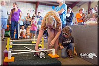 LCFAIR15-6668.jpg