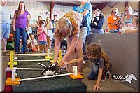 LCFAIR15-6669.jpg