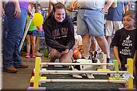 LCFAIR15-6674.jpg