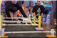 LCFAIR15-6676.jpg