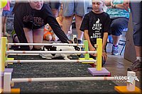 LCFAIR15-6677.jpg