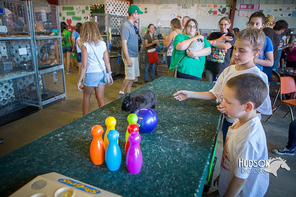 LCFAIR15-7664.jpg
