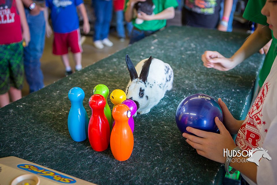 LCFAIR15-7710.jpg