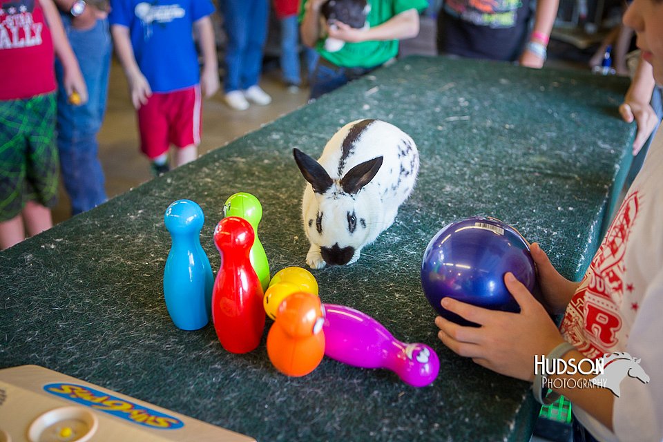 LCFAIR15-7712.jpg