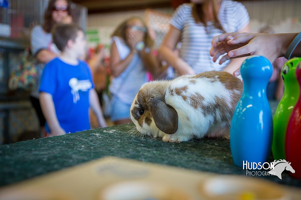 LCFAIR15-7736.jpg