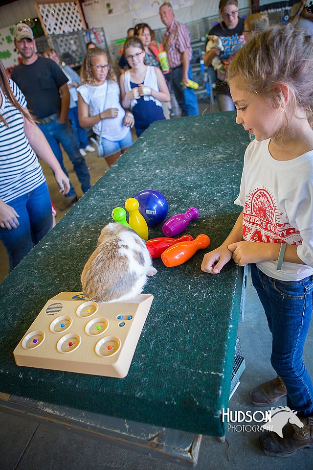 LCFAIR15-7748.jpg