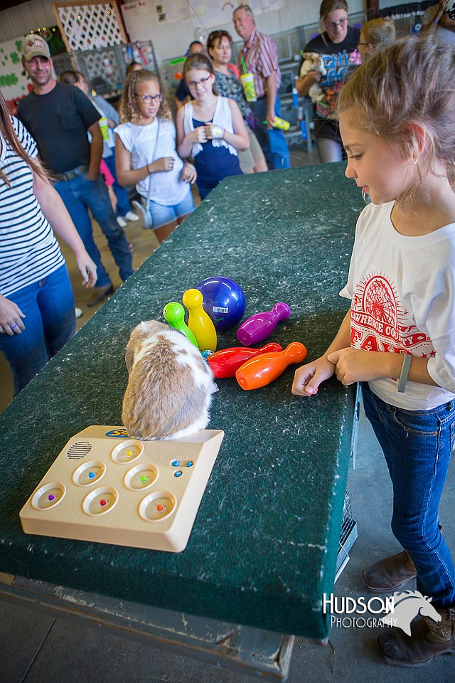 LCFAIR15-7749.jpg