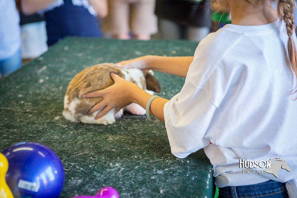 LCFAIR15-7750.jpg