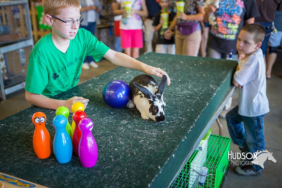LCFAIR15-7753.jpg