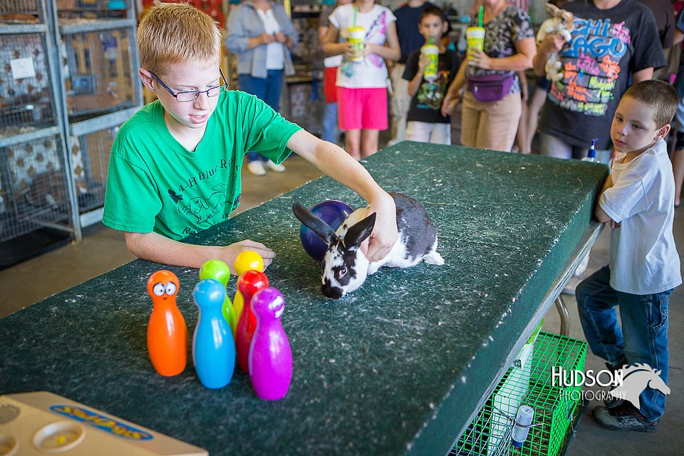LCFAIR15-7754.jpg
