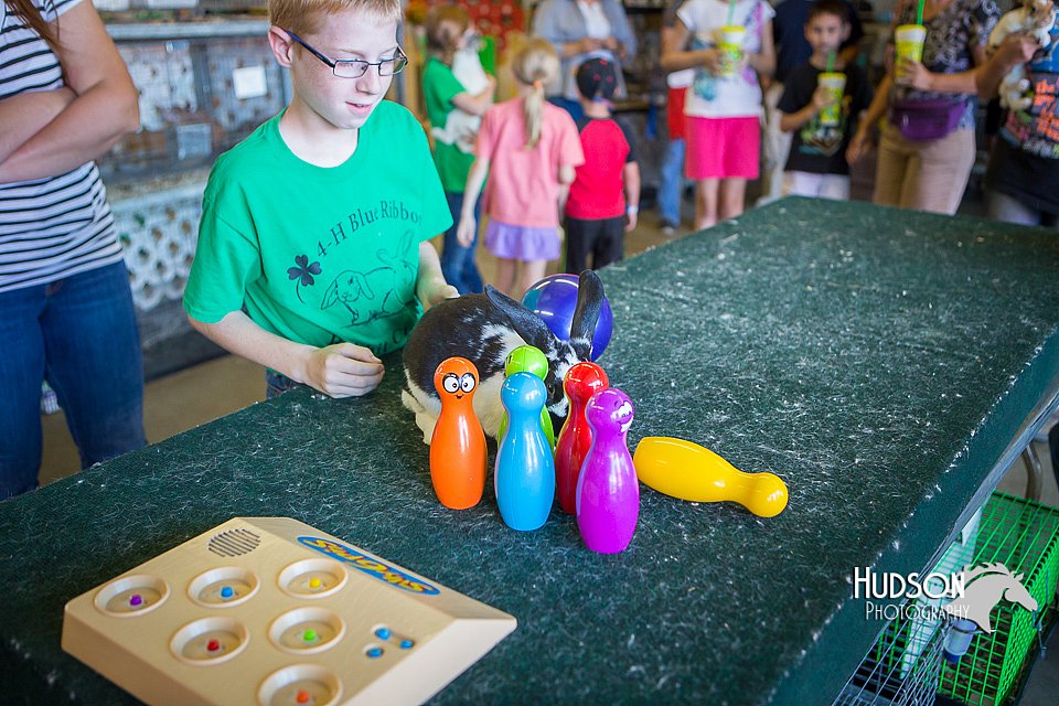 LCFAIR15-7760.jpg